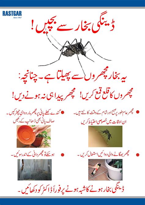 dengue fever symptoms in urdu